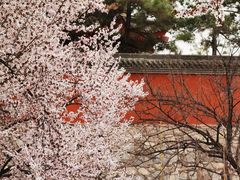 -大雁塔文化休闲景区-北广场