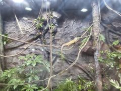 -朵云书院(滴水湖店)