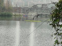 -重庆彩云湖湿地公园