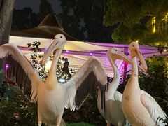 -熊猫自助餐厅.萌趣城堡(长隆熊猫酒店)