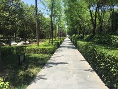 -唐城墙遗址公园