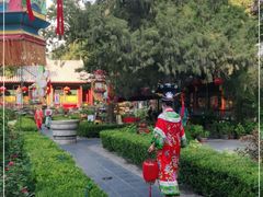 -白家大院·王府宫廷菜(苏州街店)