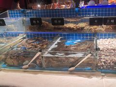 -加餐海鲜自助(集美银泰百货店)