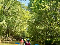 -动邦皮划艇·桨板·独木舟·团建户外运动俱乐部