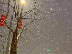 -奈雪的茶(红谷滩万达广场店)