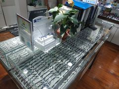 -华彬眼镜专业渐进配镜(潘家园店)