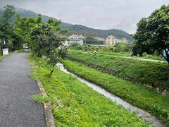-广州市帽峰山景区