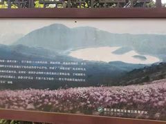 -江南天池