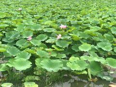 -宜兴龙背山森林公园