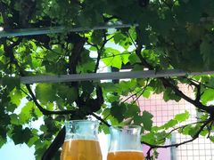 -ZING鲸鱼啤酒(葡萄院店)