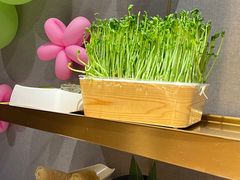 -海底捞火锅(坪山益田假日广场店)