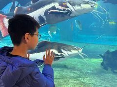 -华夏文旅海洋公园