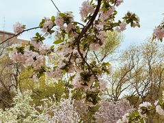 -元大都城垣遗址公园