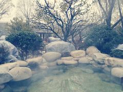 -骏途旅游