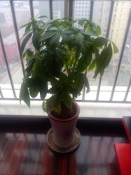 android_upload_pic-Qinskin国际皮肤管理日式整骨中心