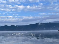 -孔雀湖生态旅游区