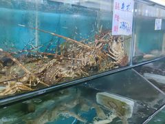 水产区-明记海鲜美食老字号(明记总店)