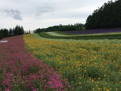 -富田农场