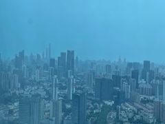 -上海龙之梦万丽酒店