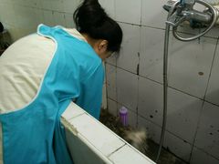 -守诺宠物医院·眼科· 特色牙科·异宠专科(虹口店)