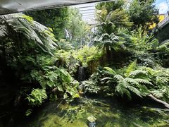 -墨尔本博物馆(Melbourne Museum)
