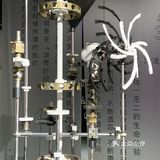 魔都看展🕰「时间知觉」走进时间的天堂