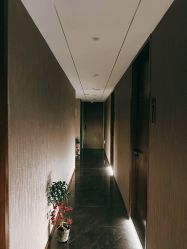 -美健盛世·美容SPA连锁