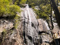 -王顺山国家森林公园