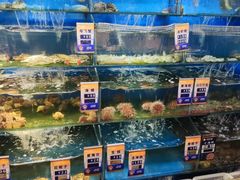 -小船渔村•大连菜•大连焖鱼(明泽街店)