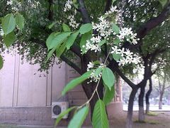-辽宁大学(崇山校区)