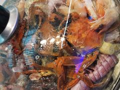 -乔哥铭洋海鲜自助(皇城恒隆广场店)