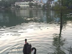 -深圳东部华侨城茵特拉根酒店