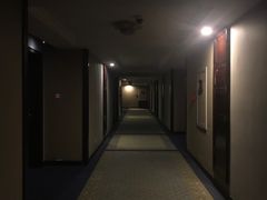 -随州碧桂园凤悦凤凰酒店