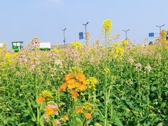 -中国天府农业博览园