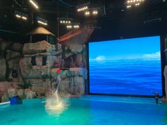 -芜湖新华联大白鲸海洋公园