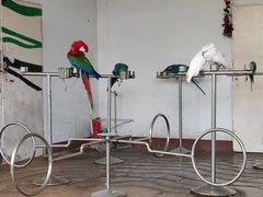 -南戴河国际娱乐中心