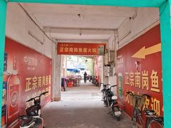 -章记正宗南岗鱼蛋火锅