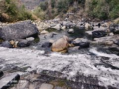 -石台牯牛降景区