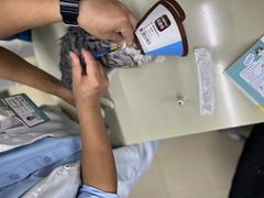 -瑞派动物医院·猫专科·至诚(江南中分院)