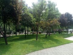 -唐城墙遗址公园