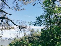 -塔云山