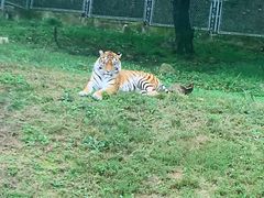 -西安秦岭野生动物园