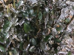 -南岳衡山风景名胜区-南岳大庙