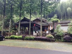 -仙霞关景区