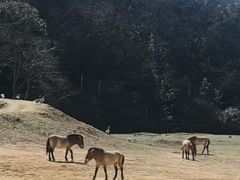 -杭州野生动物世界