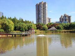-新虹桥中心花园