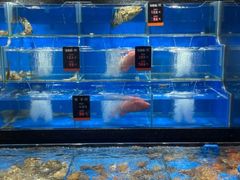 -海味当家·蒸锅海鲜(星海公园店)