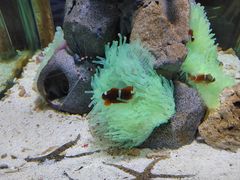 -太平洋海底世界