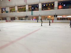 -炫采冰场(红博中央公园商场店)