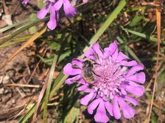 -白草畔自然风景区